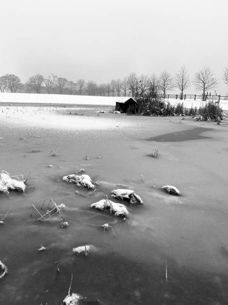 istock white winter fairytale landscape backgrounds 2195535014
