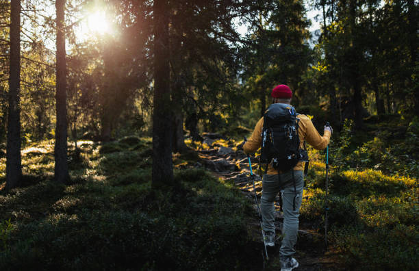 istock Hiker Exploring a Forested Trail During a Sunny Outdoor Adventure 2195540005