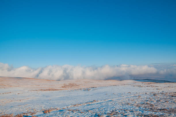 snow - covered landscape in the carpathian mountains,