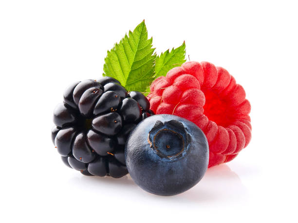 istock Fresh berries in closeup on white background 2195547690