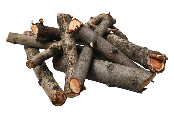 istock Pile of tree branches (firewood) isolated on white background. 2195548308