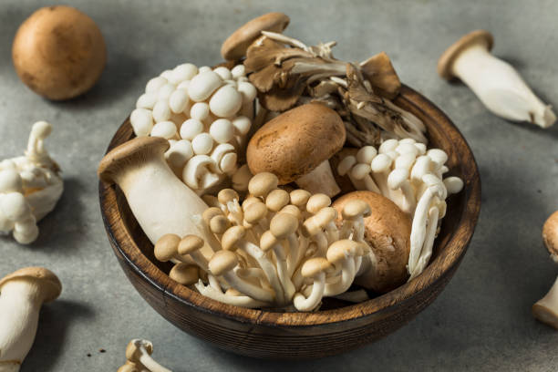 istock Organic Raw Assorted Gourmet Mushrooms 2195551126