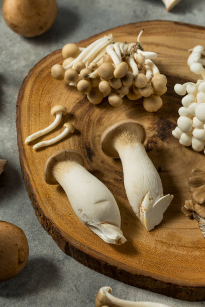 istock Organic Raw Assorted Gourmet Mushrooms 2195551151