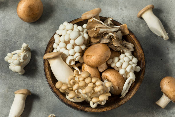 istock Organic Raw Assorted Gourmet Mushrooms 2195551213