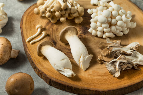 istock Organic Raw Assorted Gourmet Mushrooms 2195551240