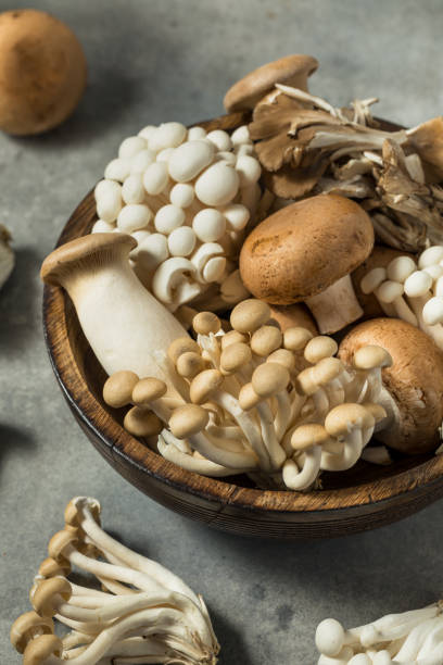 istock Organic Raw Assorted Gourmet Mushrooms 2195551255