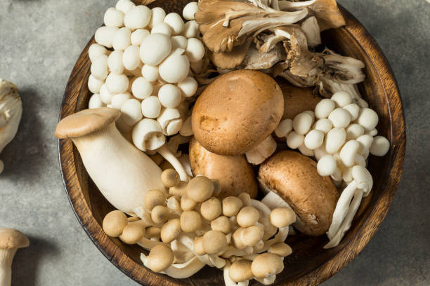 istock Organic Raw Assorted Gourmet Mushrooms 2195551275