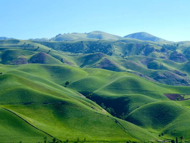 istock Grassland in Ili Kazakh Autonomous Prefecture, Xinjiang, China 2195552012