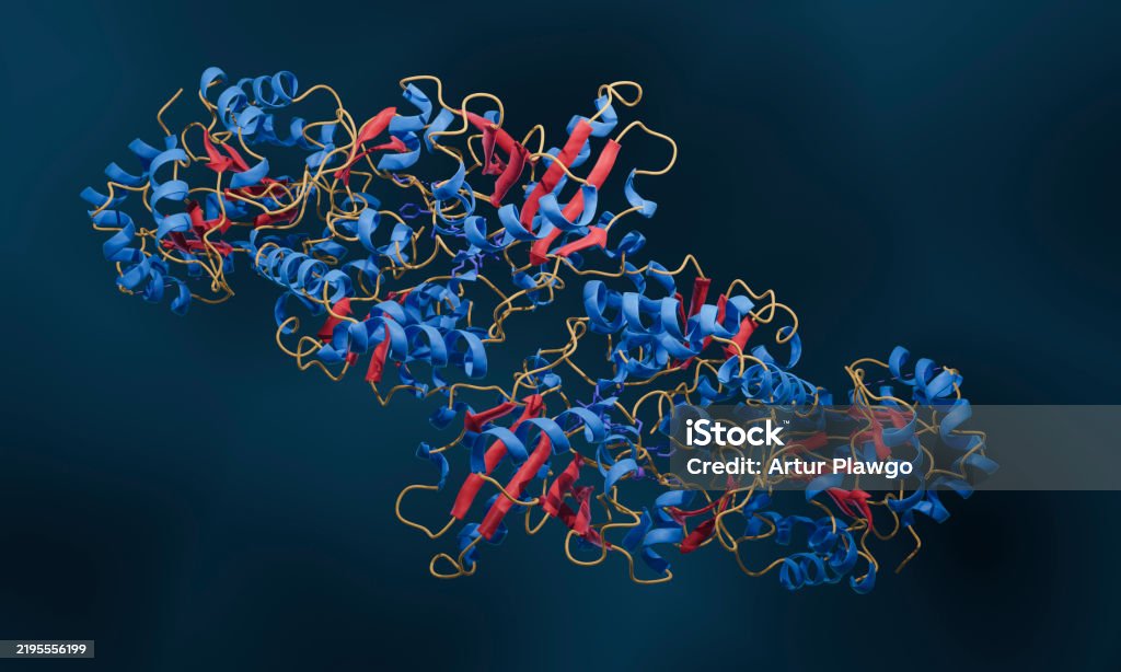 Multienzyme Complex Simple Enzyme Structure Stock Photo - Download Image Now - Amino Acid ...