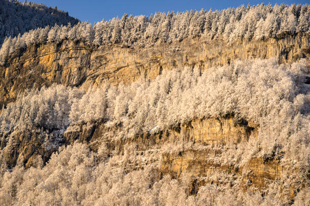 Holidays in Poland - winter view of the Nosal peak and the High Tatras