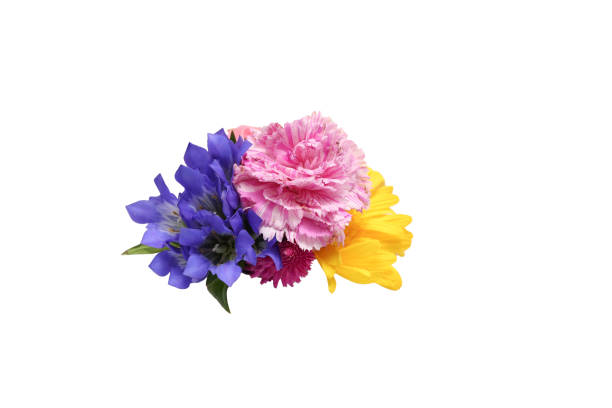 Perfect for summer or spring cards, wedding invitations.
