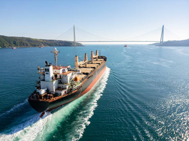 istock Aerial view of general cargo ship in transit. Istanbul Bosphorus. 2195558621