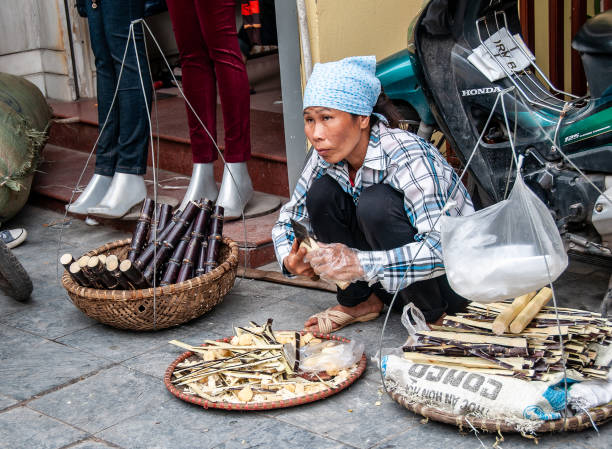 Hanoi, Vietnam - nov 25, 2013 : woman sells sweet cane marrow in the streets of Hanoi