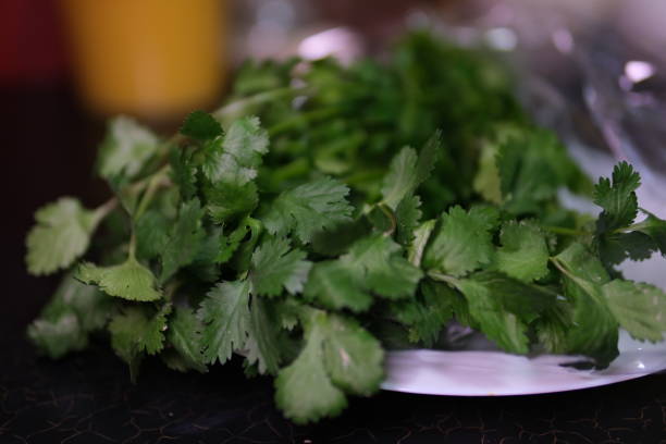 istock Fresh green cilantro, coriander leaves on wooden surface 2195567285