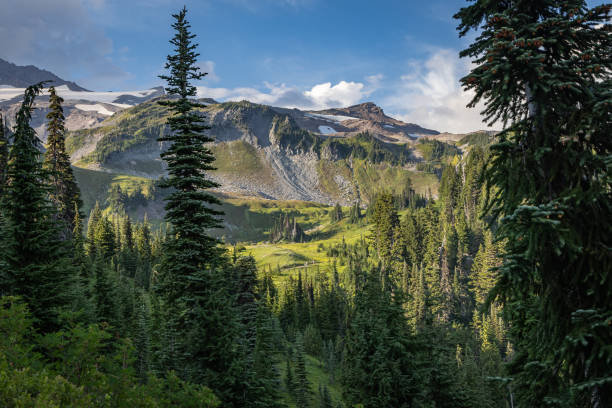 istock Sunny meadows in Mount Rainier National Park. 2195568724