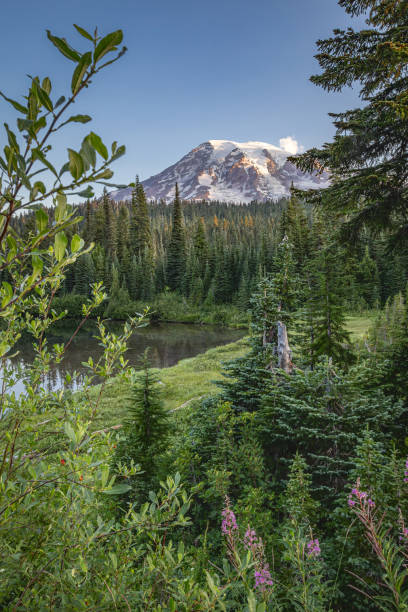 istock Mount Rainier seen from Reflection Lake, just after sunset. 2195569840