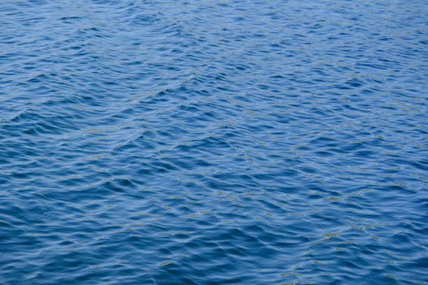 istock Zezere River, Portugal 2195570888