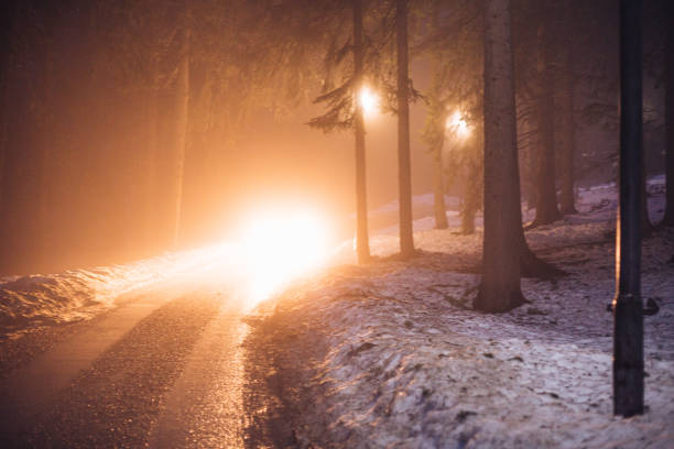 A car drives towards camera with headlights illuminating wet road, on a foggy country road in the snowy mountain woods.