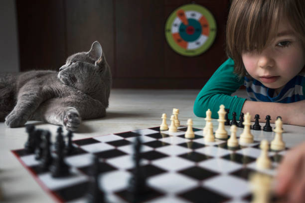 istock Little blond child playing chess while his cat resting next to him. 2195575810