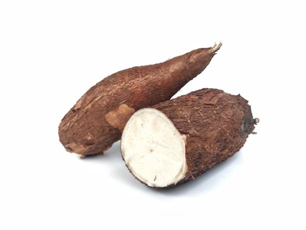 istock Slice of cassava isolated on white background 2195576405