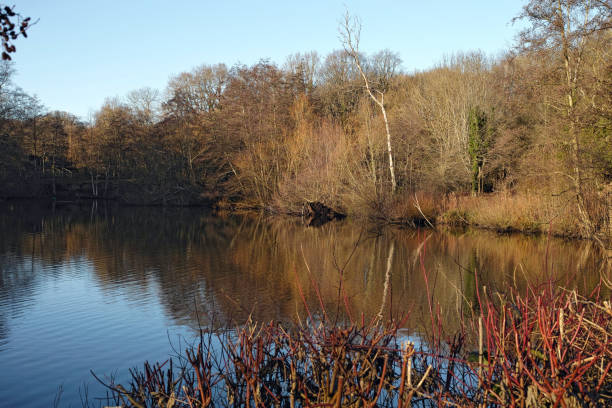 istock The Stock Pond in the Hampstead Heath 2195576541