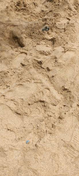 istock Close-up of disturbed sand with small debris. 2195576943