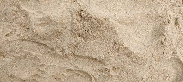istock Close-up of footprints in the sand. 2195576947