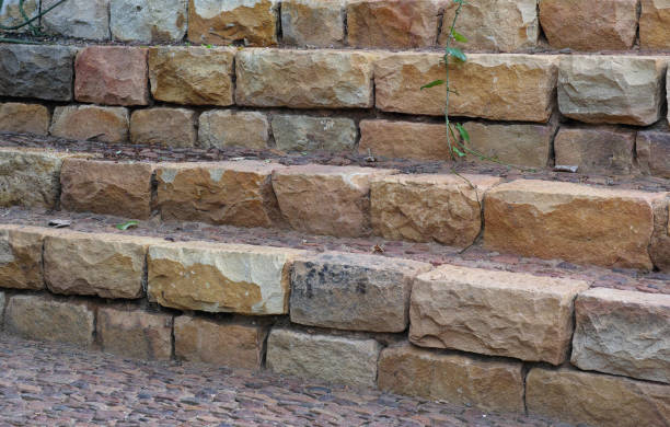 istock Rustic Stone Steps in Outdoor Setting With Natural Elements and Overgrowth 2195579851