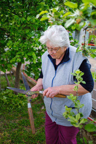 istock Elderly woman working with big scissors in garden 2195583941