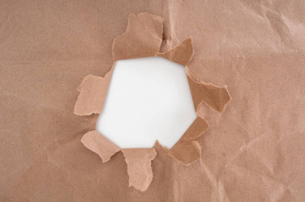 Paper waste for recycle in junkyard