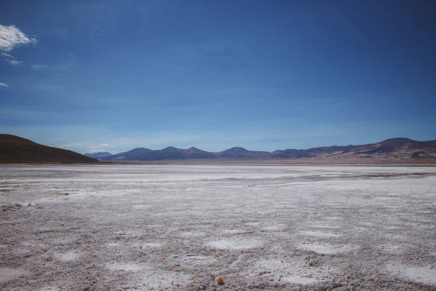 istock Salar landscape in the Atacama Desert 2195592892