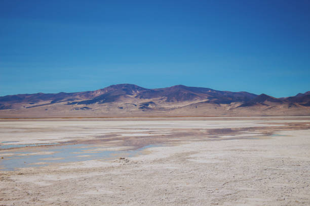 istock Salar landscape in the Atacama Desert 2195592901