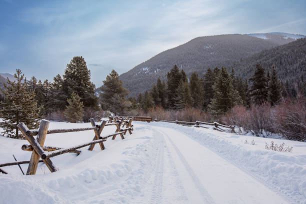 A picturesque village road blanketed in snow, winding through serene hills and dense forest. The tranquil winter landscape, with its pristine white snow and natural beauty, creates a peaceful and enchanting scene that captures the essence of a quiet, rural winter wonderland.