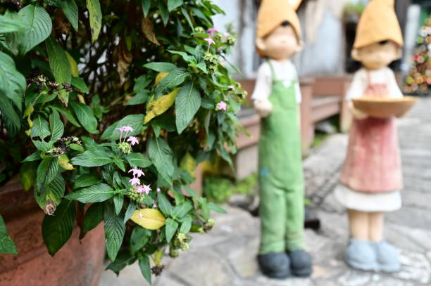 These star-shaped Pentas flowers add charm to an outdoor restaurant setting, blooming in radiant colors. Their long-lasting blossoms make them a perfect decorative element in gardens.