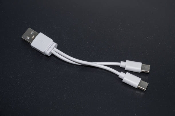 istock 5A Fast Charging Dual Port Type-C Splitter Charging Cable 2195602159
