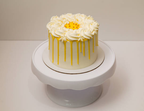 Cake on white background