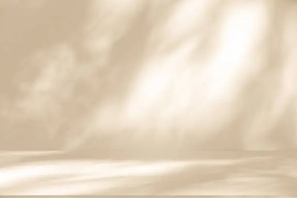 Studio style background wall decoration presentation uses white and beige tones. with shadows cast from a nearby window, concept creating a decorative Studio style background wall decoration presentation uses white and beige tones. with shadows cast from a nearby window, concept creating a decorative