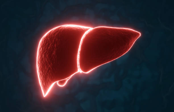istock Glowing red human liver on blue background 2195607902