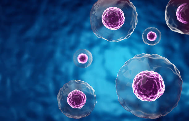 istock Research of stem cells. Stem cells under a microscope. Cellular Therapy 2195608515