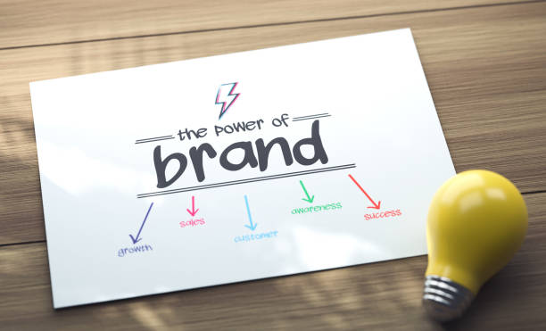 What Client-Focused Services Do We Offer?