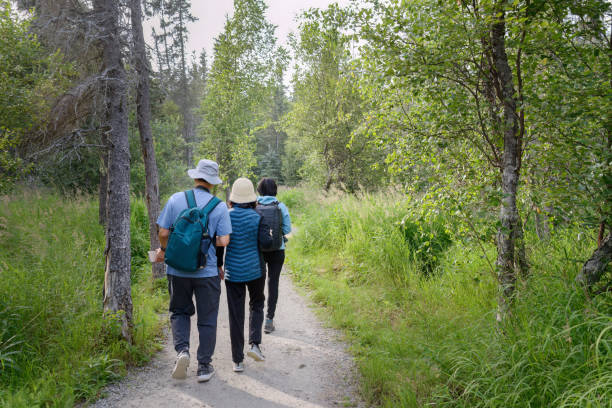 Three tourists walking on the trail towards the bear viewing platform. This section of open trail is shared with bears. Brooks Falls. Katmai National Park. Alaska.