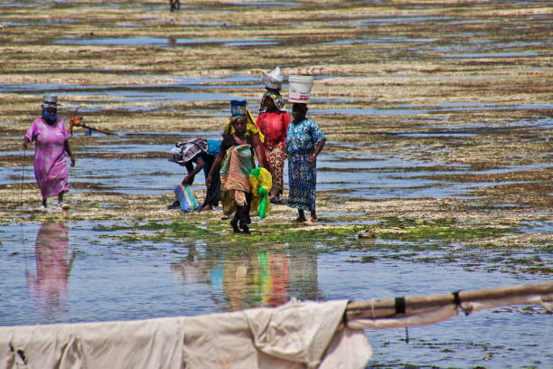 Toliara, Madagascar - May 06, 2024: Rear view of four women walking on white sand beach with blue sea sky in background. It is north of Toliara, at Ambatomilo lagoon in South West Madagascar.