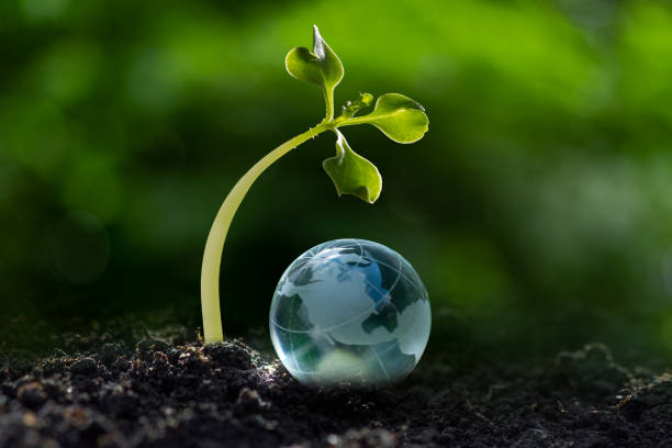 istock 3D illustration Renewable energy concept Earth Day or environmental protection Protect the forests that grow on the ground and help save the planet. 2195618695