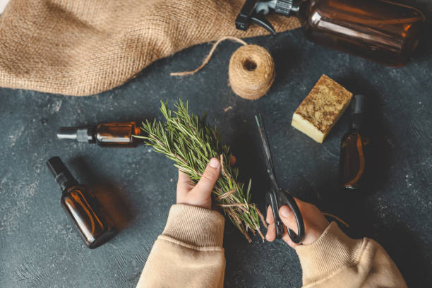 istock Child's hands cutting a bundle of rosemary with scissors on a dark surface surrounded by amber glass bottles, burlap, natural soap, and twine. Rustic and eco-friendly crafting setup with herbal elements 2195619219