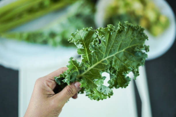 Green leafy vegetables in hand to blend vegetable juice