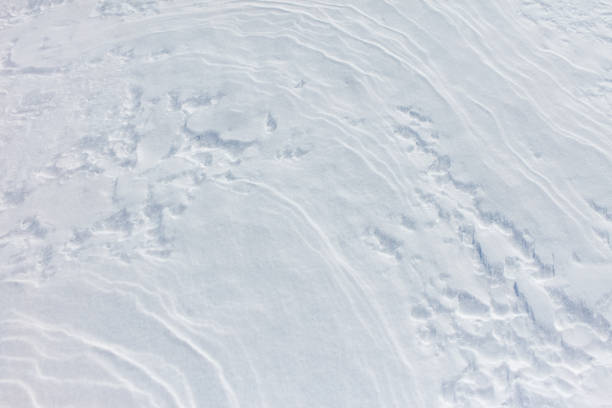 The snow is white and the ground is covered in it. The snow is piled up in some areas and the ground is covered in it