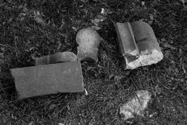 A high-contrast, black and white photograph captures the decaying grandeur of an old building, emphasizing the textures of crumbling stone and neglect.
