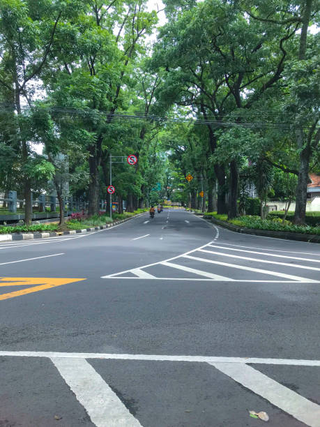 istock big road surrounded by dense green trees. 2195622248