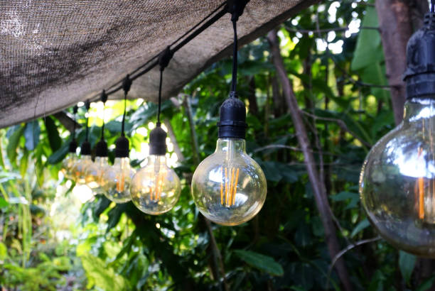 istock Nice vintage light bulb hang in garden 2195625254