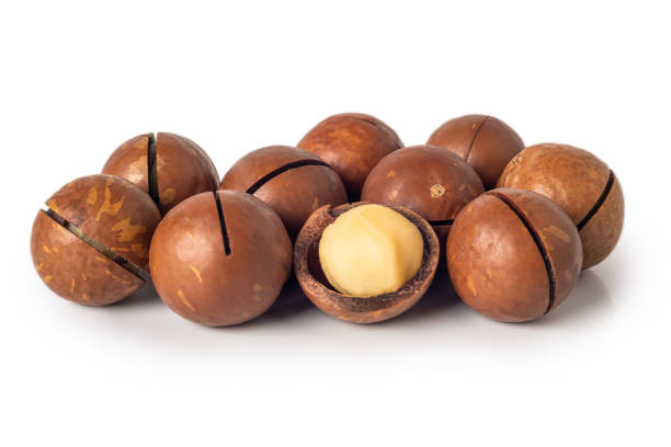 istock Macadamia nuts display showcasing their hard shells and creamy interior in a bright setting 2195626184